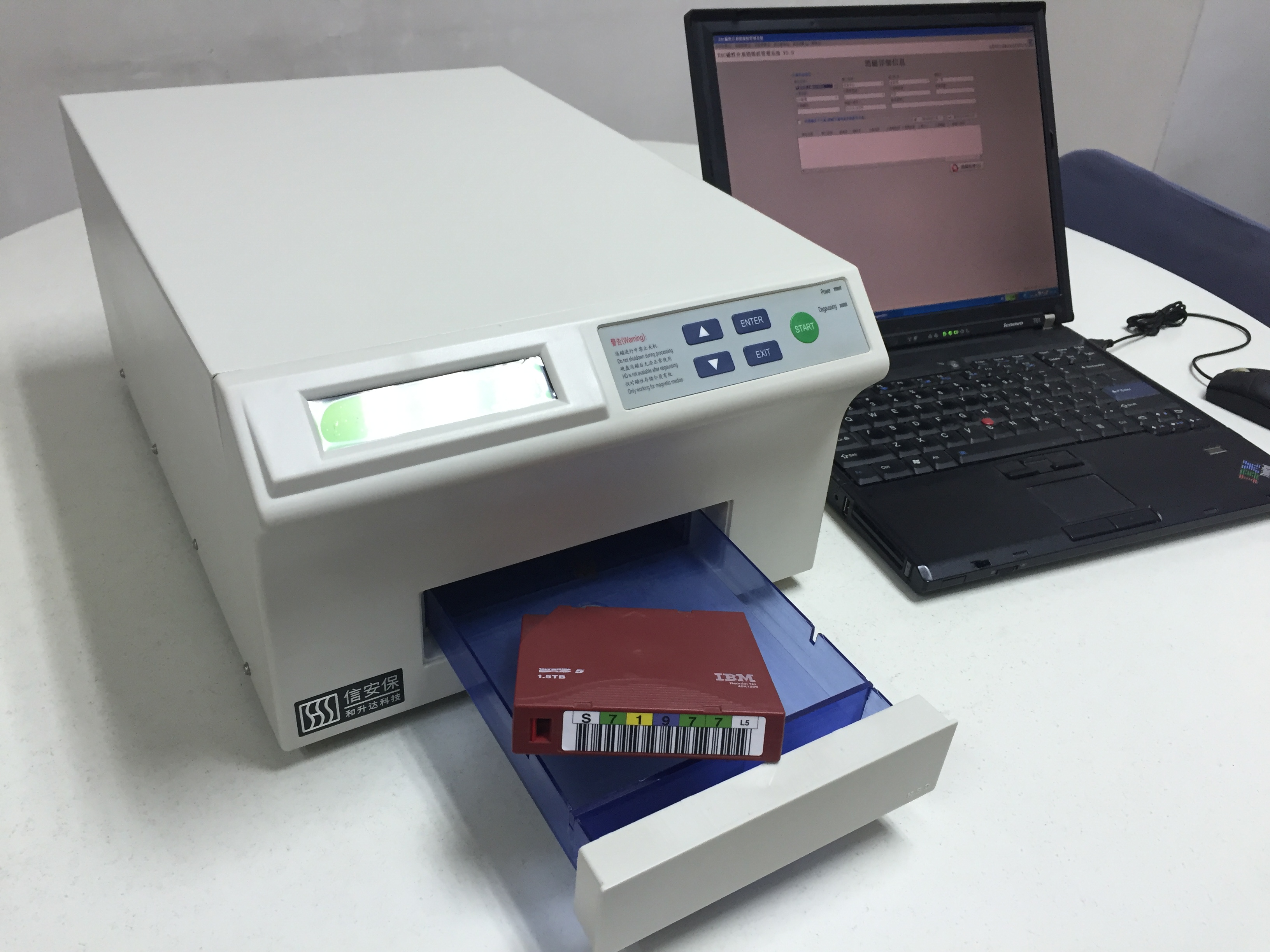 �Ŵ���������